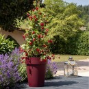 3357c928874d1611b10f0826632a.jpg EDA PLASTIQUES