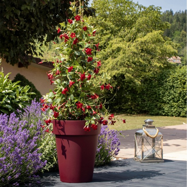 3357c928874d1611b10f0826632a.jpg EDA PLASTIQUES