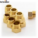 1_A2_732265_00000.jpg BRICOZOR