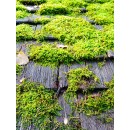 galerie_137_dalep-pe-eco-r.jpg DALEP