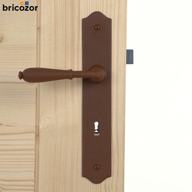 60_2023_06_08_BOUVET_NEVERS_VIEUX_FER_ROUILLE_561084_00004_bricozor.jpg BOUVET