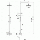 S556809-490.gif PAINI