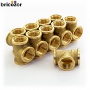 1_E6_732706_00000.jpg BRICOZOR