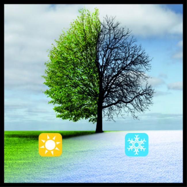 Épandeur sans fil GE-US 18 Li-Solo - Power X-Change - Bricozor 5.jpeg EINHELL