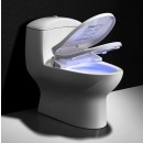 TopToilet Naïa 2 - 6 - Réduit.jpg TopToilet