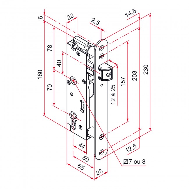 Schéma - Serrure à larder pour portail - axe 50 mm - pêne en zamak - GK2 - Bricozor.jpeg TIRARD