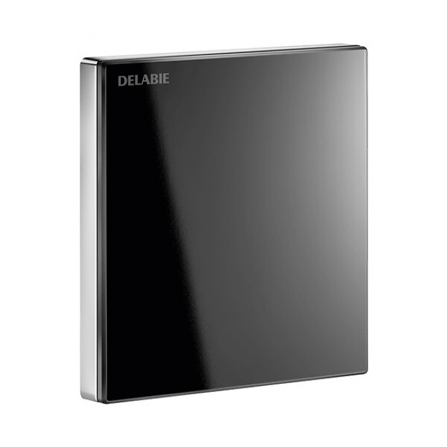 pm_11812_487_487893-p0frihayfg-600.jpg DELABIE