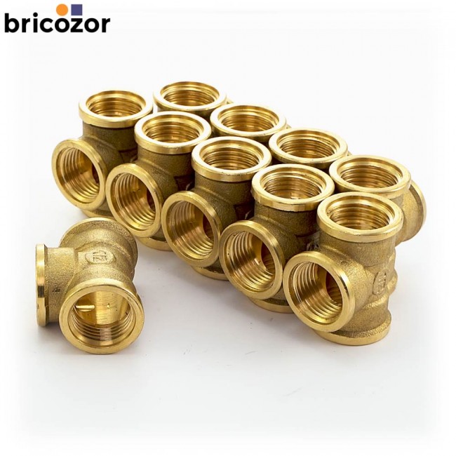 2_E6_732706_00093.jpg BRICOZOR