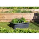 13919 G-ANT Ambiance (3).jpg EDA PLASTIQUES