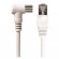 Cordon BALUN RJ45 /IEC mâle - longueur 2 m