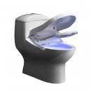 Luxe-Bronze-2-Réduit.jpeg TopToilet