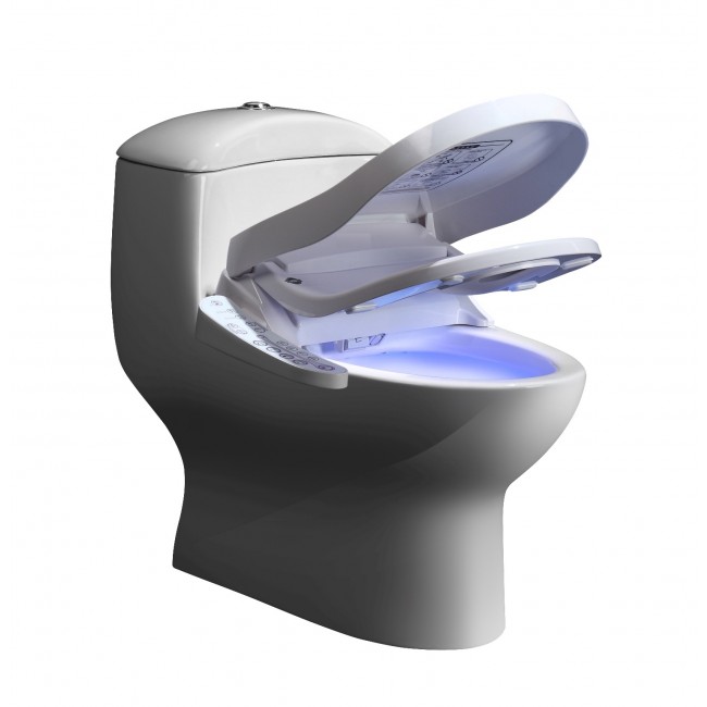 Luxe-Bronze-2-Réduit.jpeg TopToilet