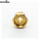 4_D4_783644_00282.jpg ANQUIER