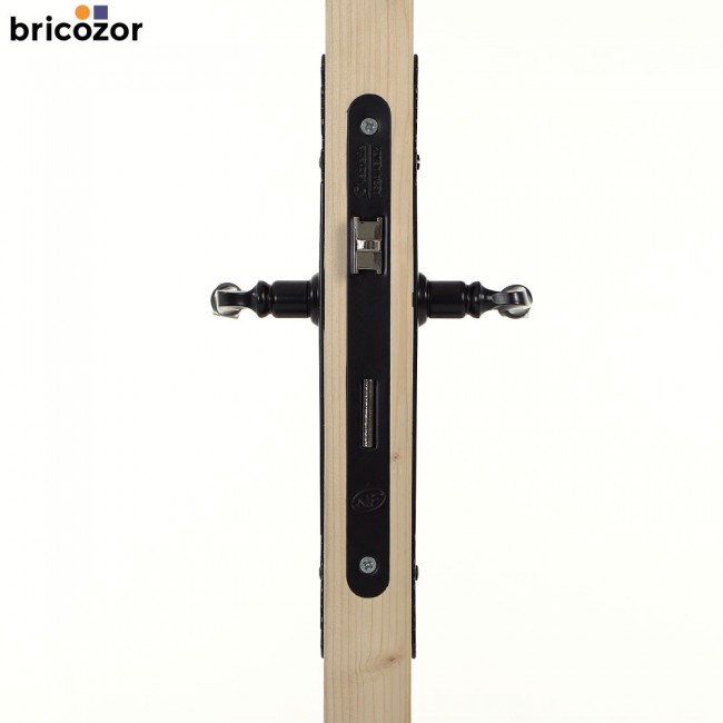 35_2023_06_07_BOUVET_BOURGOGNE_FER_NOIR_302889_00002_BRICOZOR.jpg BOUVET