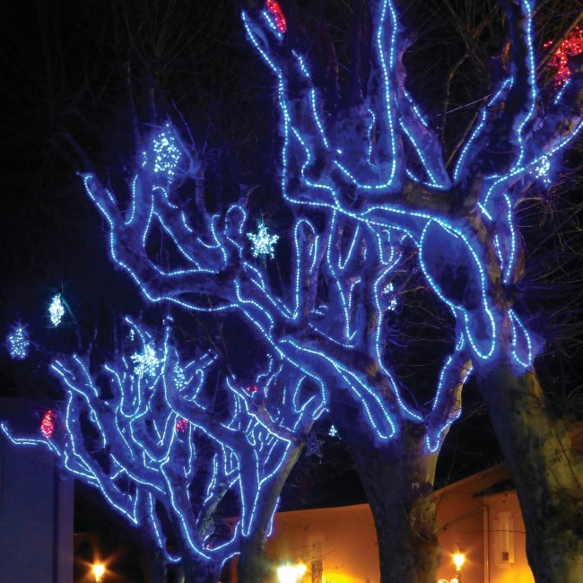 pm_11812_443_443749-giqpx1ry9i-whr.jpg FESTILIGHT