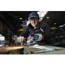 3165140838375 (11).jpg BOSCH