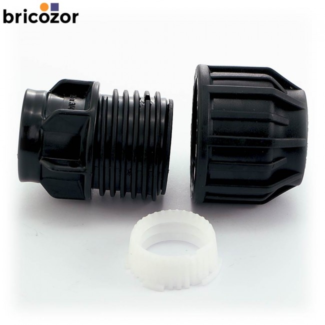 1_C3_373829_00000.jpg CODITAL