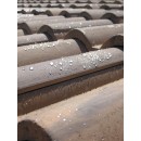 galerie_222_d-31-eco-r.jpg DALEP