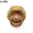67f375a7126be.jpg BRICOZOR