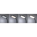 78017mo03.jpg PAULMANN