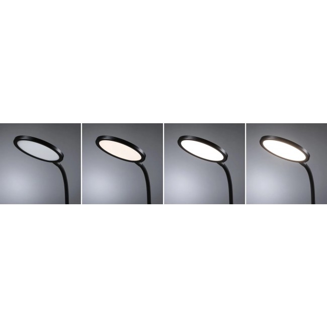 78017mo03.jpg PAULMANN