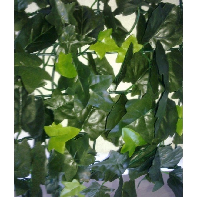 lierre-panache-001.jpg JET7GARDEN