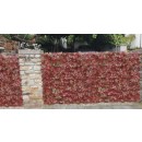 plaque-de-vigne-vierge-rouge.jpg JET7GARDEN