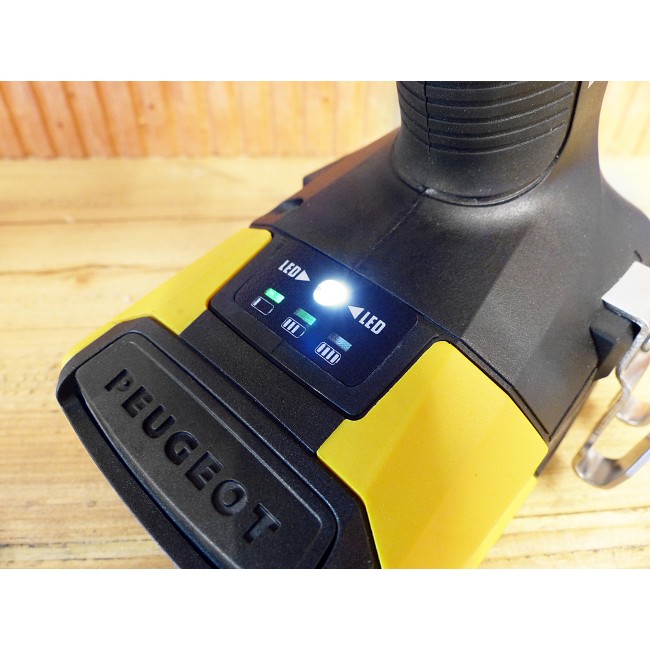 250315-3-dt-12.jpg PEUGEOT