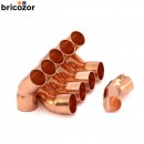 1_F5_732342_00000.jpg BRICOZOR