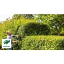 AdvHedge_Ergonomic_Combo.jpeg BOSCH