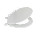 20220809111848-9fb5d978-cu_e520.jpg MSV