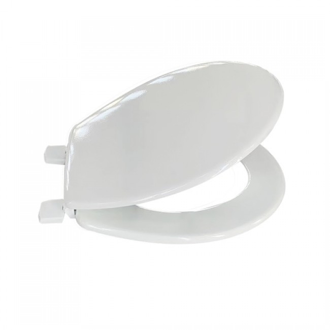 20220809111848-9fb5d978-cu_e520.jpg MSV