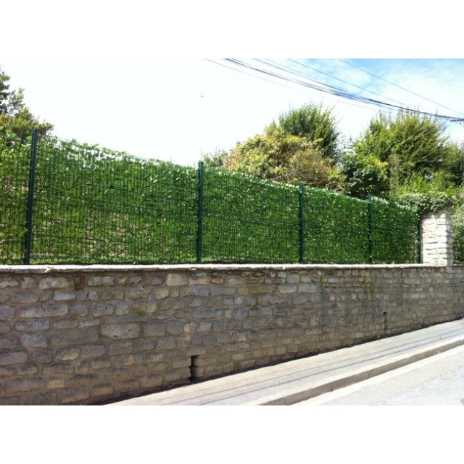 Haies-Feuilles-3.jpg JET7GARDEN