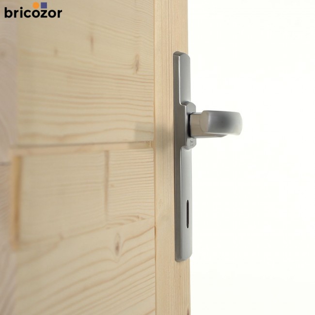 2023_05_31_VACHETTE_ARTIS_CHROME_VELOURS_4_00005_BRICOZOR.jpg VACHETTE