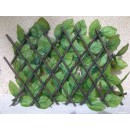 treil-rosier-verso.jpg JET7GARDEN