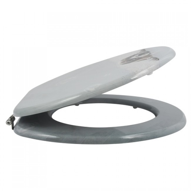 20210507153152-c9a4eddd-cu_e520.jpg MSV