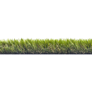 JET7GREEN 42 SUPERB en coupe 2.png JET7GARDEN