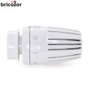 1_B1_617694_00000.jpg GIACOMINI