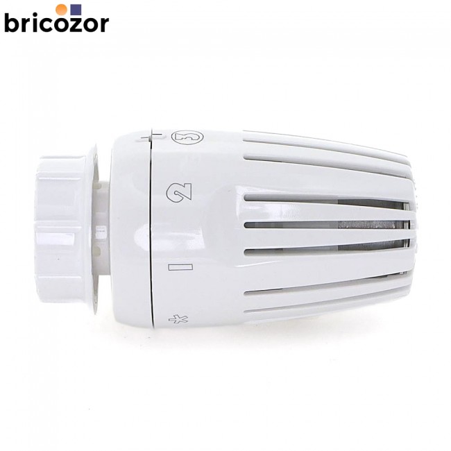 1_B1_617694_00000.jpg GIACOMINI