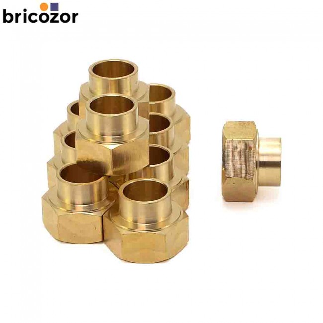 1_F2_732804_00000.jpg BRICOZOR