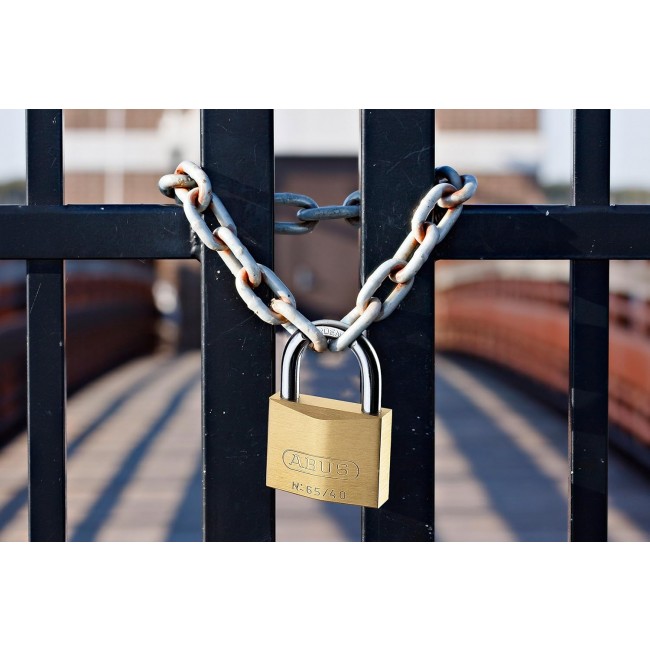 91cVSvLuK8L._AC_SL1500_.jpg ABUS