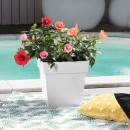 25a9f7c330f7c26bcc7020b22402.jpg EDA PLASTIQUES