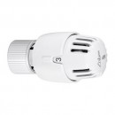 tete-thermostatique-tl-10-w.jpg RBM