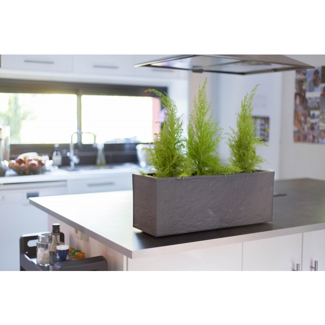 13748 G-ANT Ambiance (6).jpg EDA PLASTIQUES