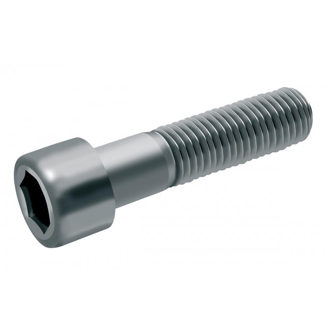 pm_11812_190_190219-ey63lsv0ny-whr.jpg ACTON