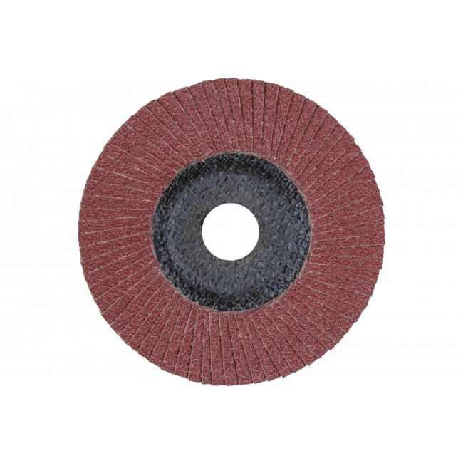 pff-125-a-80-sg-steelox-hinten-rgb.jpg PFERD