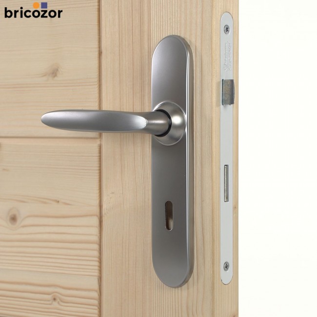 47_2023_06_07_VACHETTE_JAZZ_CHROME_VELOURS_496999_00003_BRICOZOR.jpg VACHETTE