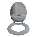 20190612172109-75430bb6-cu_e520.jpg MSV