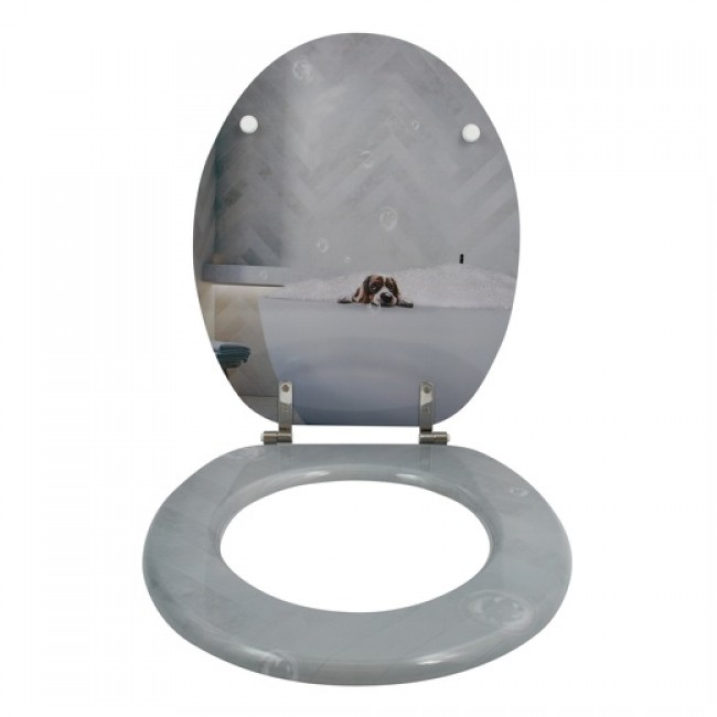 20190612172109-75430bb6-cu_e520.jpg MSV