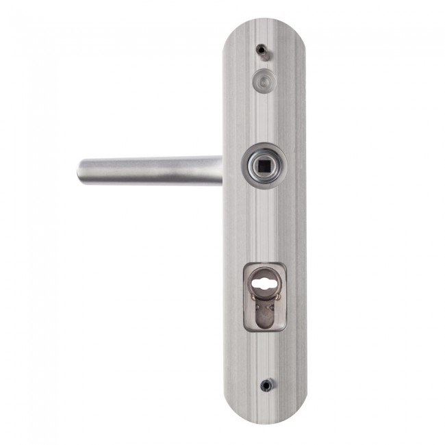 Poignee-plaque-securite-secumax-up-vachette-vue-arrière.jpg VACHETTE